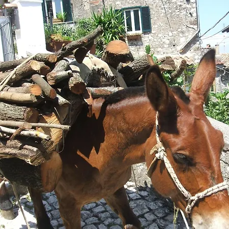 Dell' Artista 3* Artena