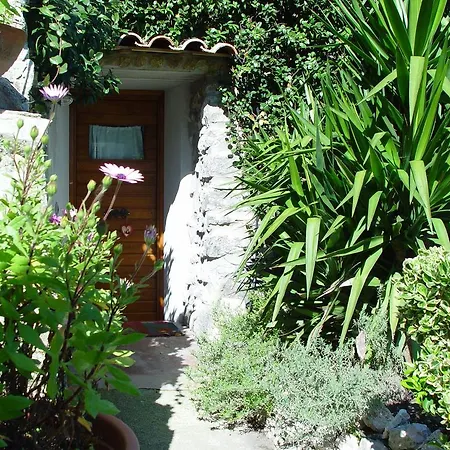 Bed & Breakfast Dell' Artista