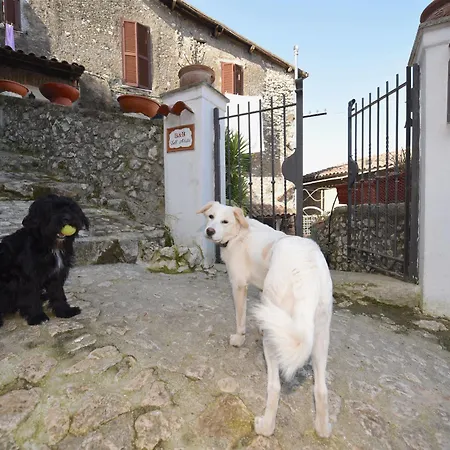 Dell' Artista Bed & Breakfast